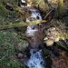Bachlauf