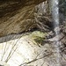 Der Wasserfall im Schreizen Giessen