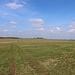 Blick zur Anhöhe Mordovna
Der Ackerbau wurde hier Mitte der 1990er-Jahre aufgegeben.
Jetzt wird extensive Weide- und Grünlandbewirtschaftung betrieben.