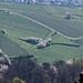 Vue plongeante sur les vignes depuis le haut du donjon du château Saint-Ulrich
