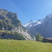 Sicht in Tal vom oberen Grindelwaldgletscher