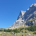 Sicht zurück zur Grossen Scheidegg mit dem Wetterhorn