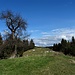 ...dann ist die sonnige Gipfelkuppe des Harterbergs erreicht.