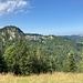 ein sonniger Sommertag: hier auf Alp Trachsuegg - mit Hinüberblick zur Napfflue ...