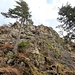 Die Felsen oberhalb der Rhodewand heißen Birkenwändle, Zigeunerwändle und Zähringer Wand.