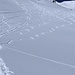Pulverschwünge auf dem Gletscher (wer schneller schwingt, schwingt öfter ;))