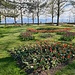 Tulpen im Parc de l'Indépendance in Morges
