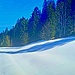 Im Zwäckentobel