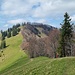 Blick von Schindelberghöchi/Neurütispitz 1234m zum Schnebelhorn, kein Vermessungspunkt gefunden