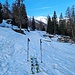 <b>Malgrado la generale carenza di neve sulla catena alpina, in Val Bedretto, a partire da All’Acqua, la copertura nevosa permette ancora di effettuare delle belle escursioni con gli sci.<br />In effetti, a partire dal ponticello sul Ticino (1615 m) posso calzare gli sci. Svolto immediatamente a destra, sul noto percorso che sale verso l’Alpe Val d’Olgia. </b><br />