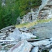Die Ruinen der Alpe Piatto 1849m im Valle die Bri