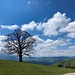 Emmental.
Blickrichtung Hürliseggen