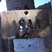 Salvi