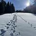 Erstes richtiges Schneefeld unterhalb Birchboden