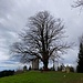 ... und mit ehrwürdigem Baum und weiteren Gedenkstätten