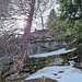 ... ich kurz vor dem Gipfel den weiter Aufstieg abgebrochen habe.<br />Es wurde mir zu heikel, da es recht steil war und der Schnee rutschig.