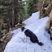Der Weg durch Schneerutsch gut verborgen