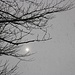 Graupel und Sonne