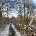 Rückweg zum See