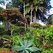 Der schöne, subtropische Garten Jardim Duque da Terceira in Angra do Heroismo.