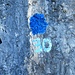 Le bollatura blu con indicato sentiero 30