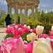 Der Tempel der Liebe wurde 1777-1778 vom Architekten Richard Mique errichtet. Im Vordergrund einige der 200.000 Blumen, die im Park jedes Jahr (!) gepflanzt werden.
