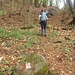 nel bosco
