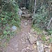 Hier sind wir schliesslich wieder aus dem Wald herausgekommen, kurz bevor wir auf die nördliche Querung abgebogen sind.
