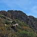Blick zurück zum Gipfel