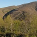 hier im Süden von Italien startet der Frühling eher zaghaft...