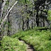 unterwegs im Valle delle Ferriere...