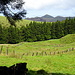 Das Hochland von Terceira.