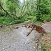 <b>Riale di Progero.</b>