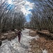 Pista per il Monte Maggiorasca