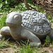 Lustige Schildkröte