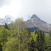 panorami