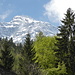 Monte Cistella