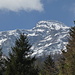 panorami