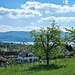 Der Kirchhügel von Witikon bietet eine schöne Aussicht auf den Zürichsee und die Albiskette. Bei guter Fernsicht sind gemäss dem dortigen Panorama auch die Berner Alpen erkennbar 