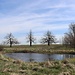 Teich im einstigen Siedlungsgebiet von Ebersdorf/Habartice