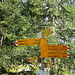 am P825 Wolfsschlucht resp. Wolfsgrueben