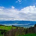 Blick auf den Zürichsee von der Gueteregg aus.