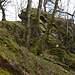 Westlich des Wildensteins erhebt sich dieser Gratgipfel. Im Bild die Bergseite - auch hier braucht man kurz die Hände, um hinauf zu kraxeln.