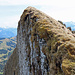 Blick von einer kleinen Felskanzel auf den Gipfelaufbau vom Tierberg.