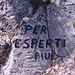 Arrivati alla Sella dei Pradacetti