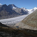 Blick zurück auf den Märjelensee und den grossen Aletschgletscher (vom Tälligrat)