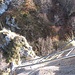 La scala e il ponte tibetano.