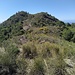 Der Cerro de Juan Bueno greifbar nah