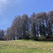 am Blumen- und Bärlauchfeld vorbei zum Durchlass ...
