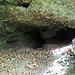 Diese ist tiefer und wird vermutlich vom Fuchs / Dachs bewohnt, welche die Höhle weiter ausbauen.